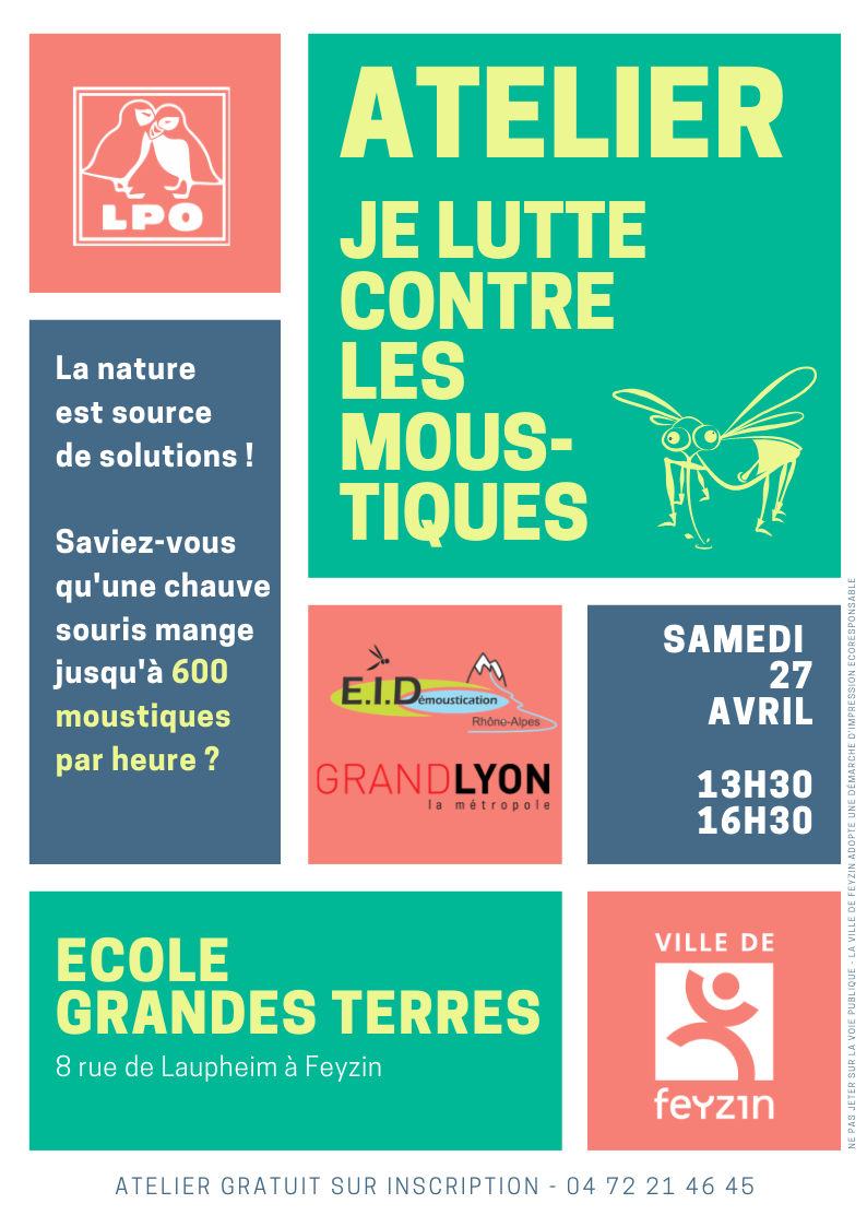 2019 03 flyer atelier moustiques