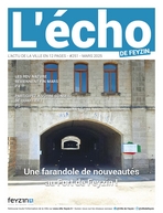 Echo Feyzin 251 Une 148 1