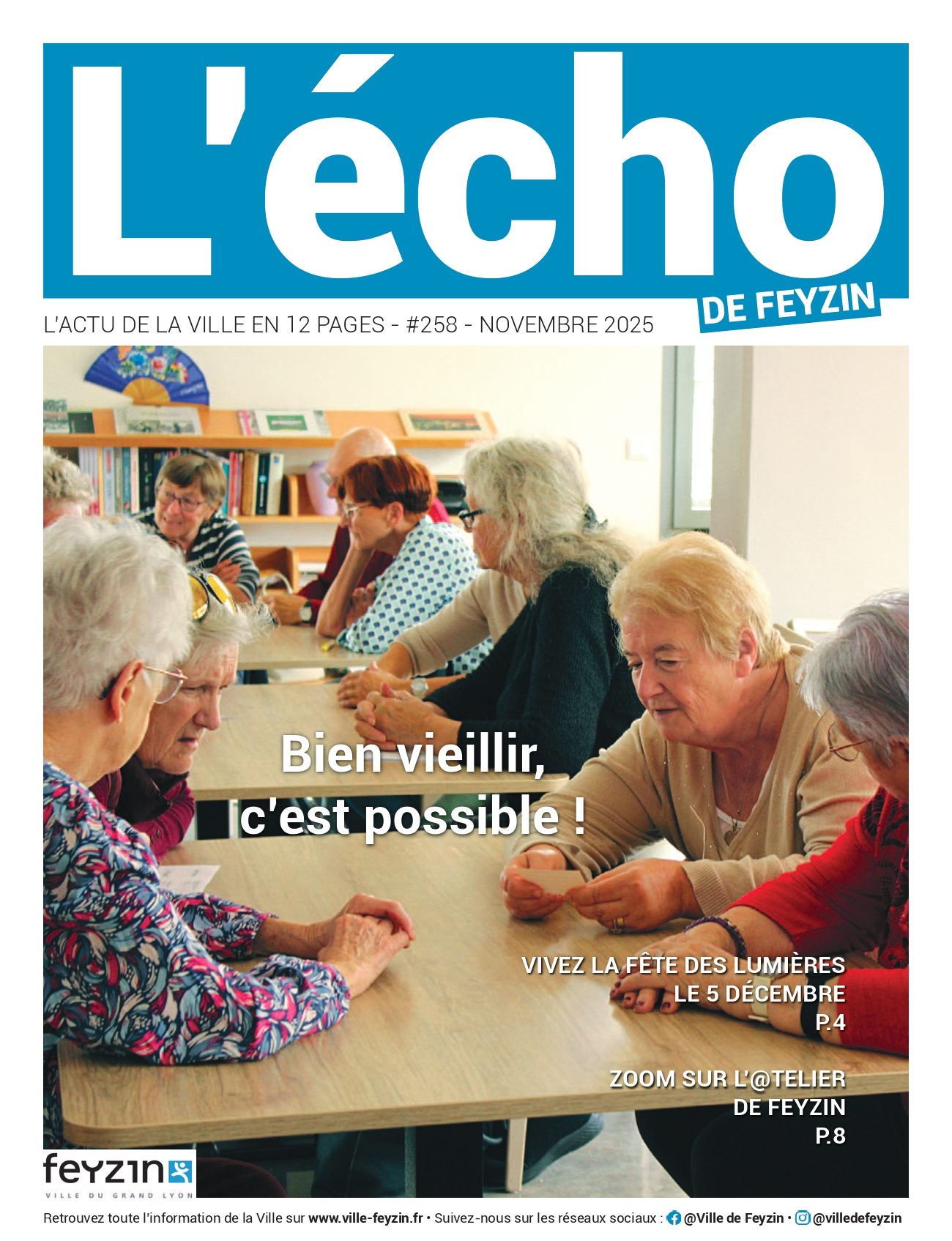 Echo Feyzin 258 une
