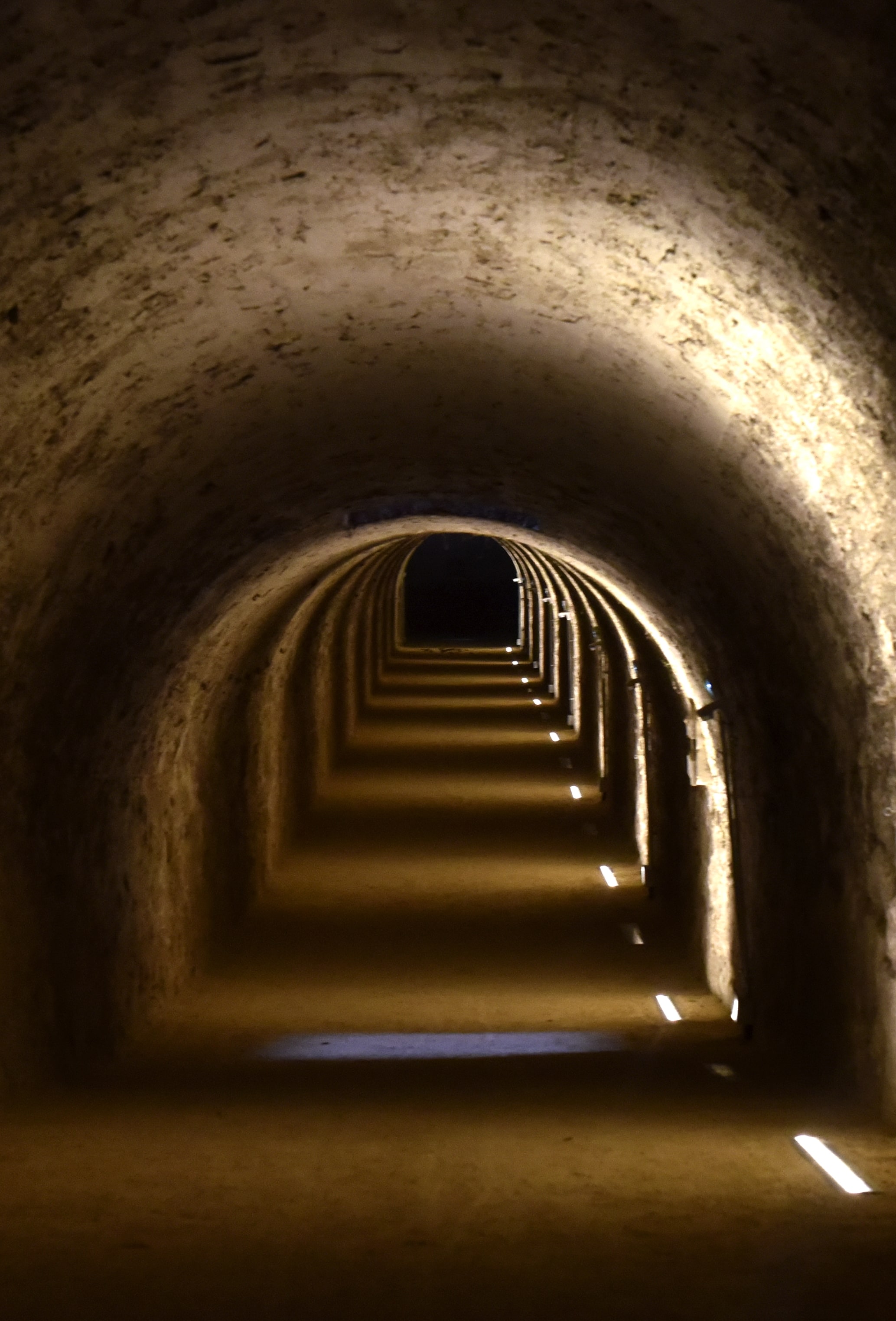 caponniere fort feyzin tunnel