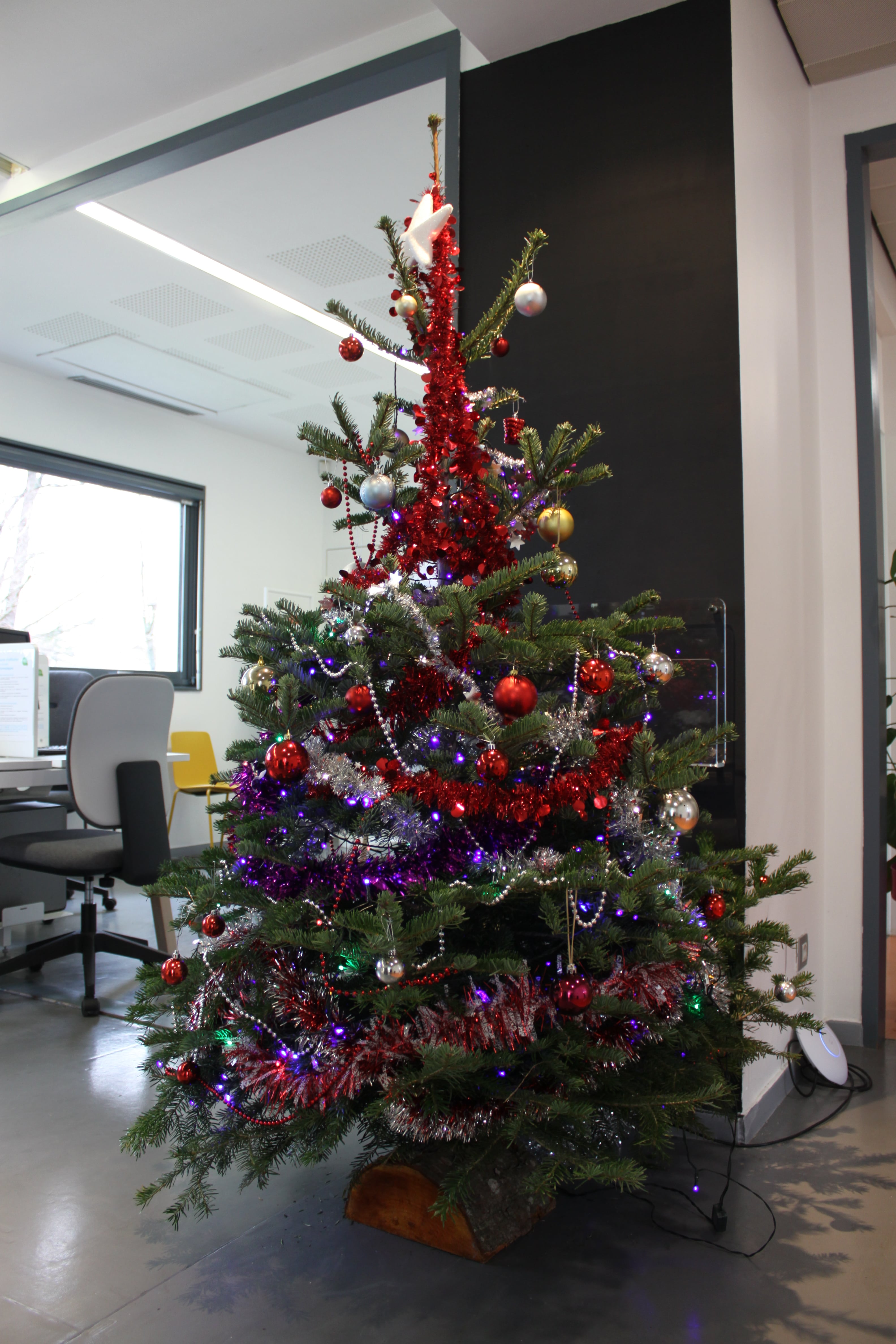 sapin de noel