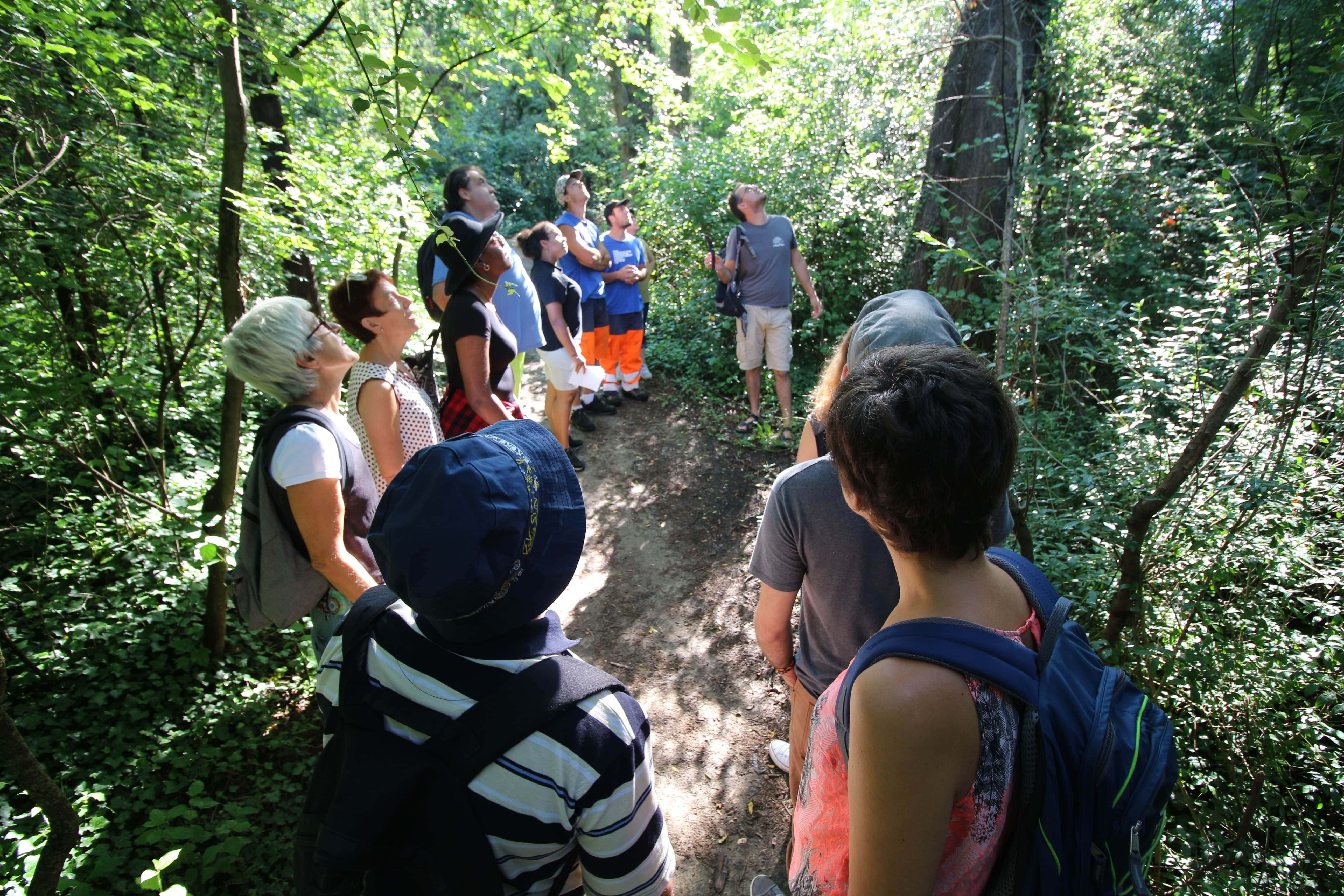 visite nature bois du fort feyzin