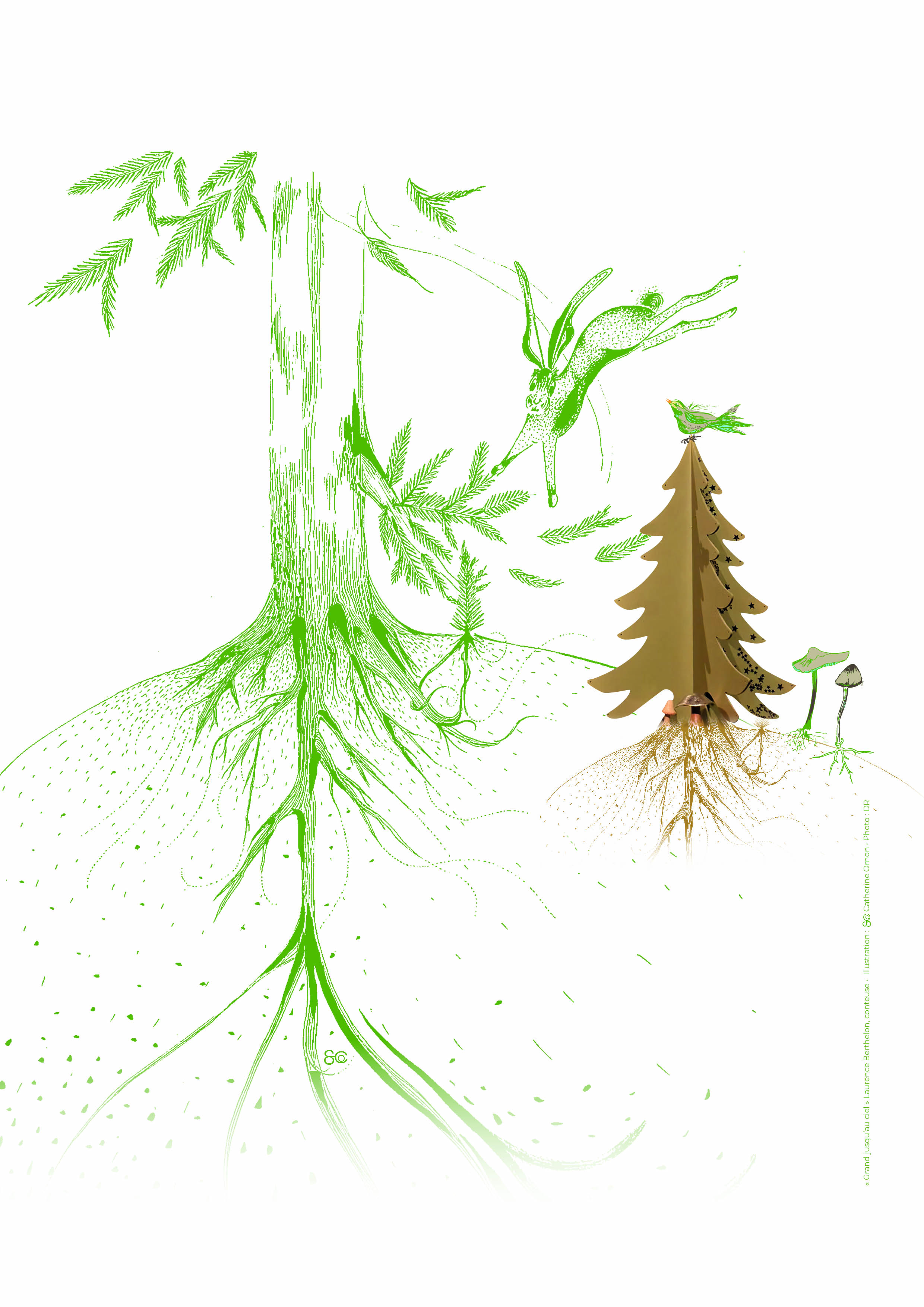 N74 spectacle Grand jusquau ciel