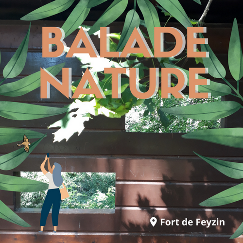 balade nature short 5