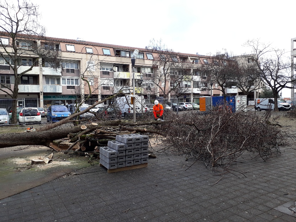 Travaux Bégude janvier